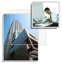 欧美黑吊大战白妞欧美大片